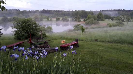 Mgła nad stawem – poranek