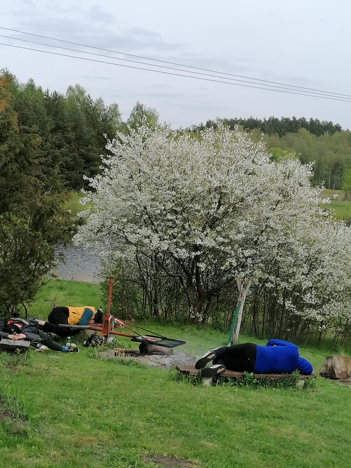 Relaks przy stawie wiosną