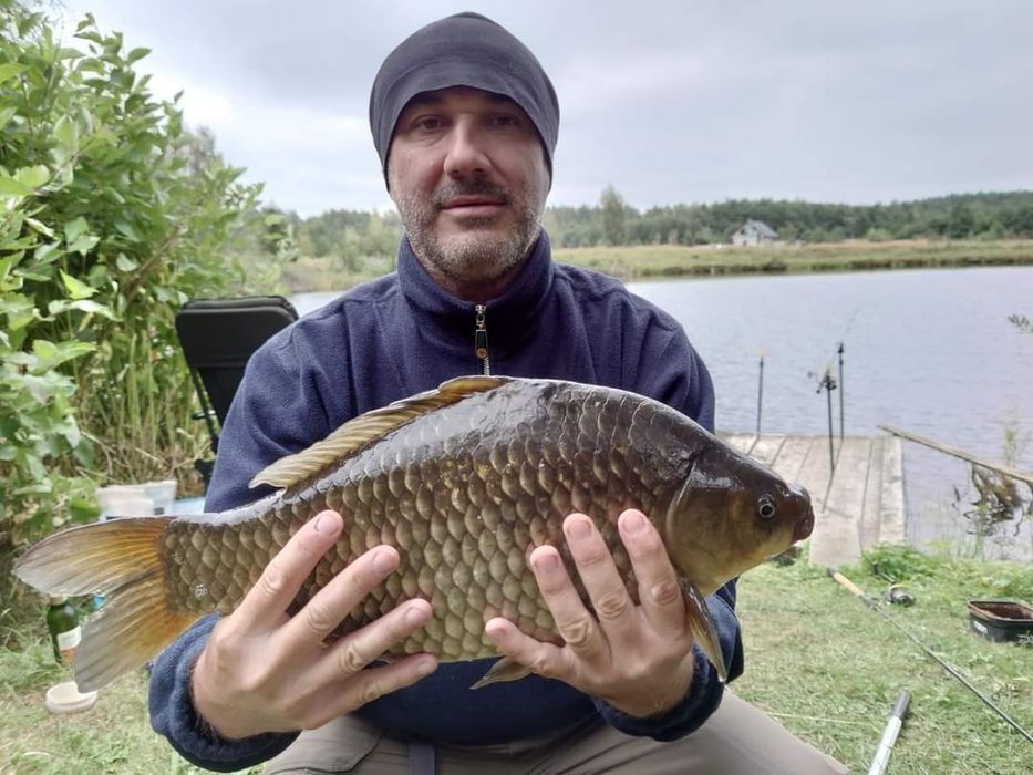 Karp złowiony na stawku